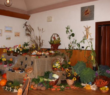 Výstava 2008